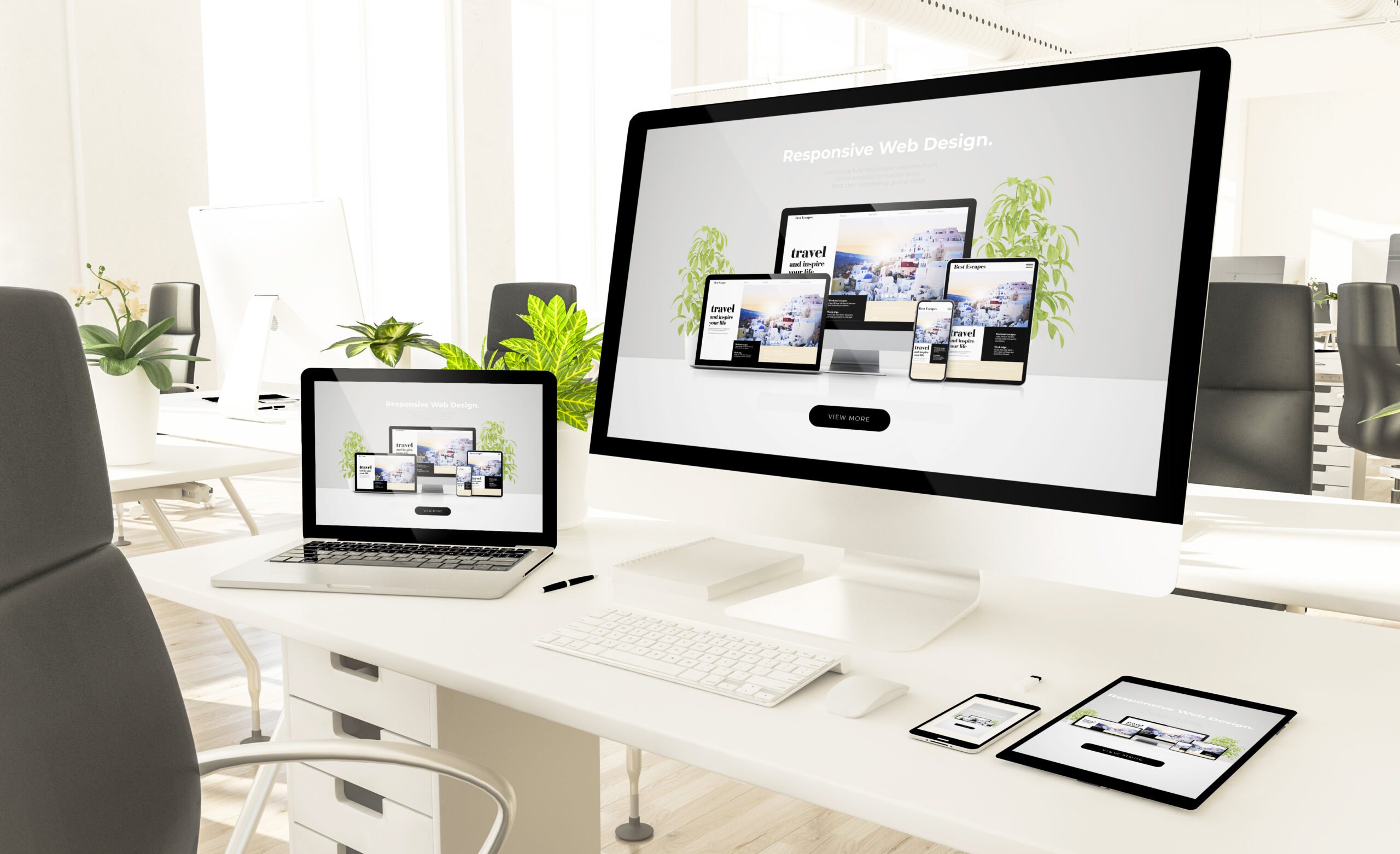 Get to know a little of our history and the road we traveled that took us to the level we are today.