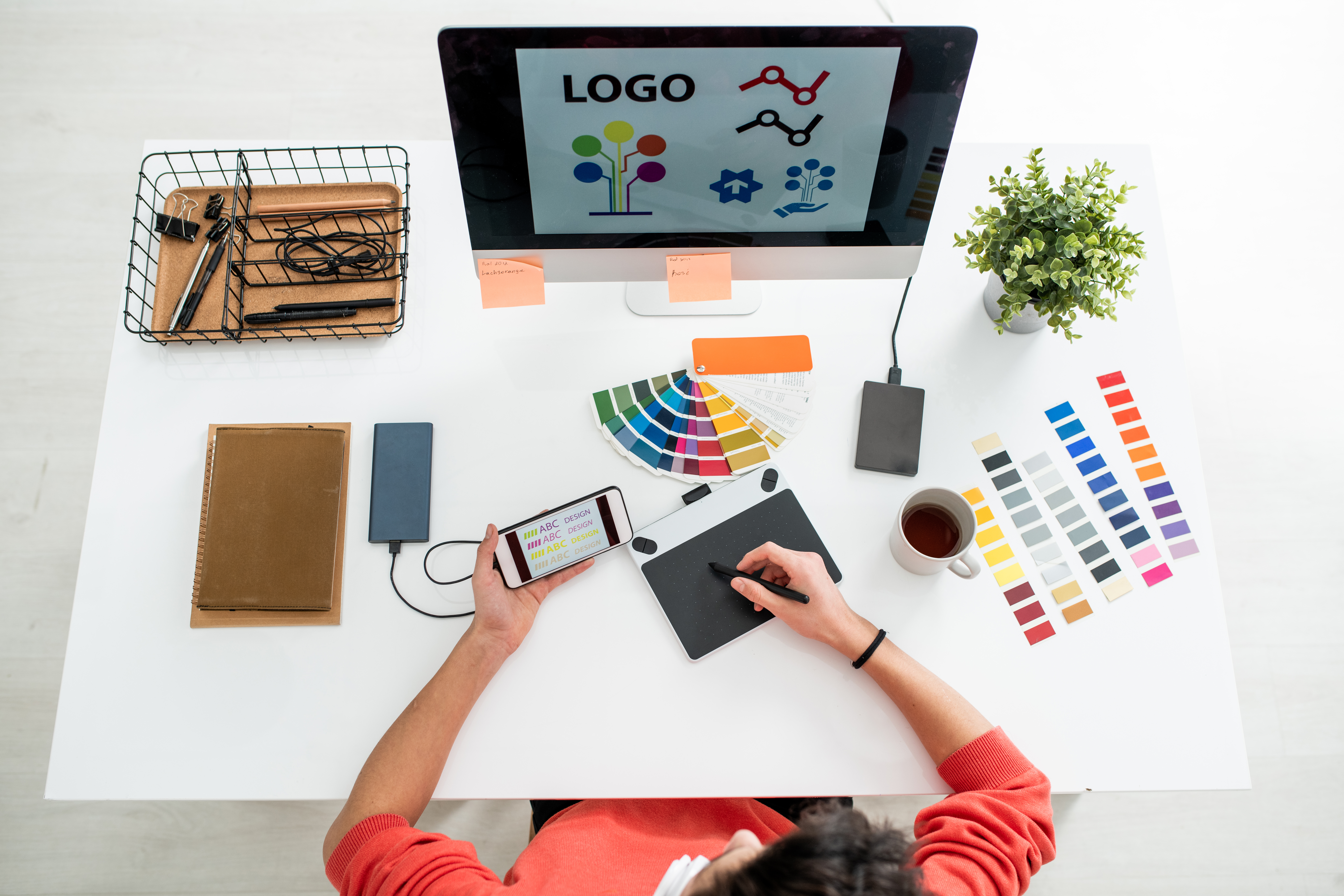 Get to know a little of our history and the road we traveled that took us to the level we are today.